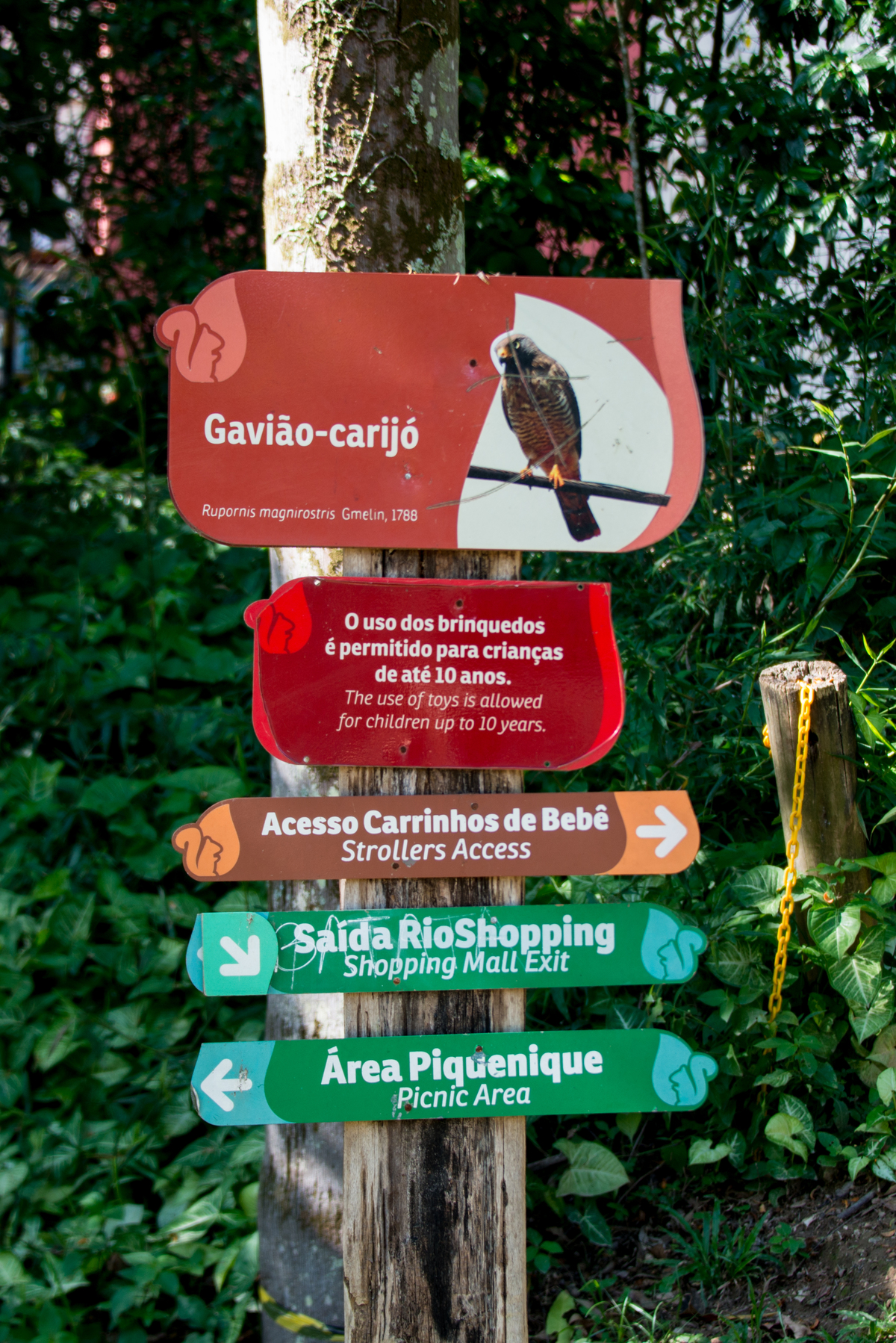 UM TOQUE NO SEU OLHAR ARIANE SCHMITZ TATIANA VIEIRA