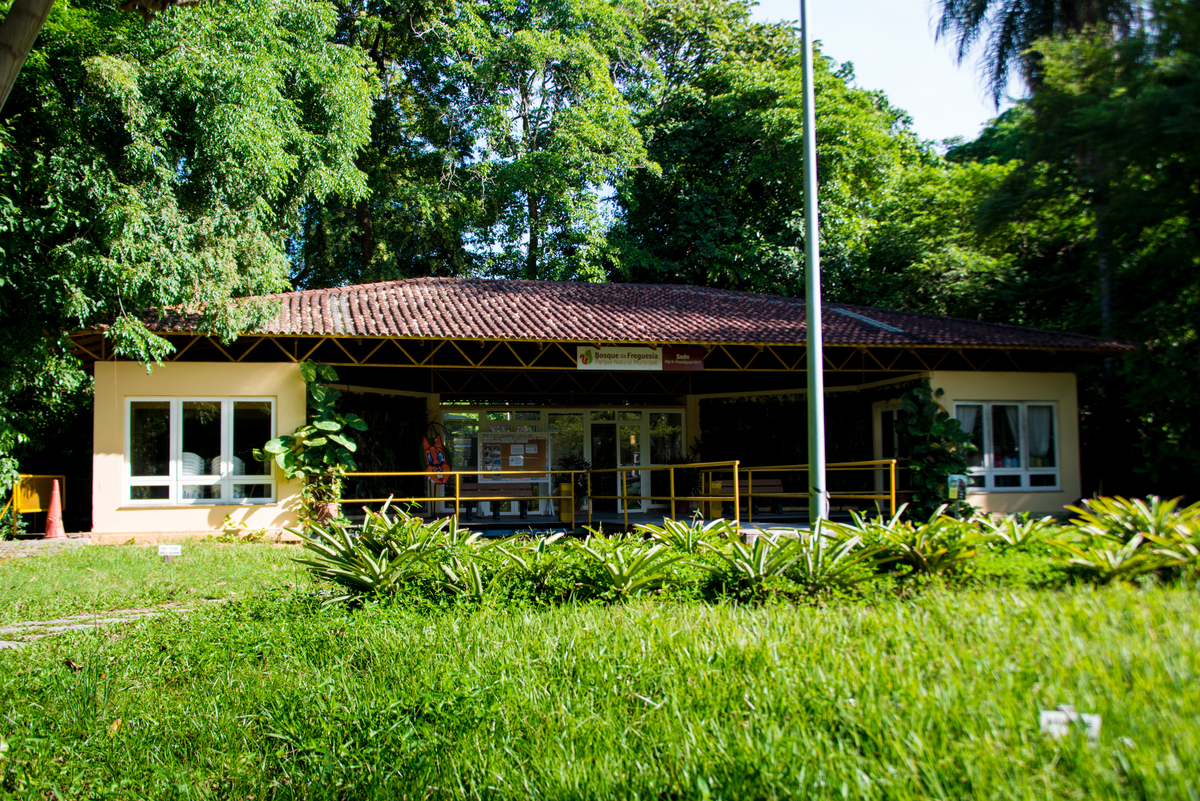 UM TOQUE NO SEU OLHAR ARIANE SCHMITZ TATIANA VIEIRA