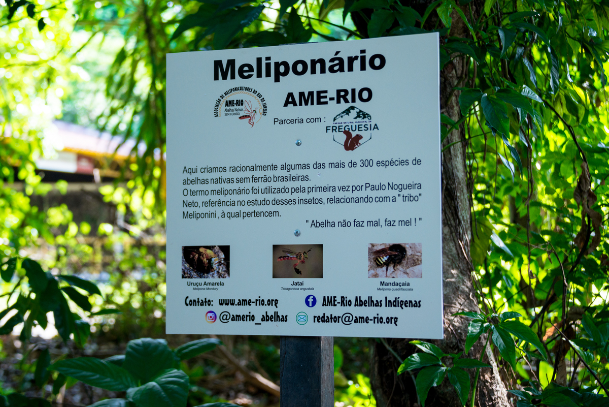 UM TOQUE NO SEU OLHAR ARIANE SCHMITZ TATIANA VIEIRA