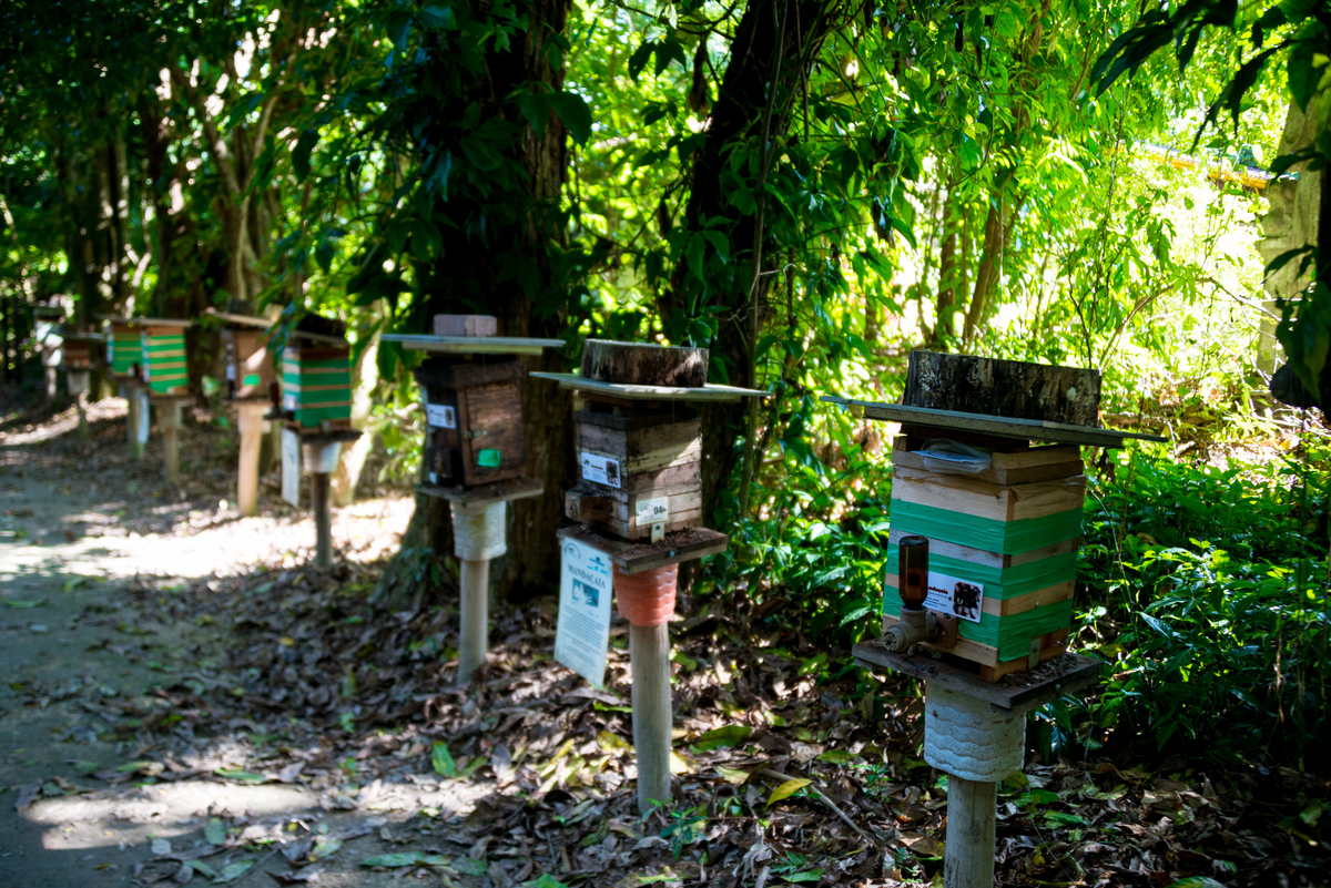 UM TOQUE NO SEU OLHAR ARIANE SCHMITZ TATIANA VIEIRA