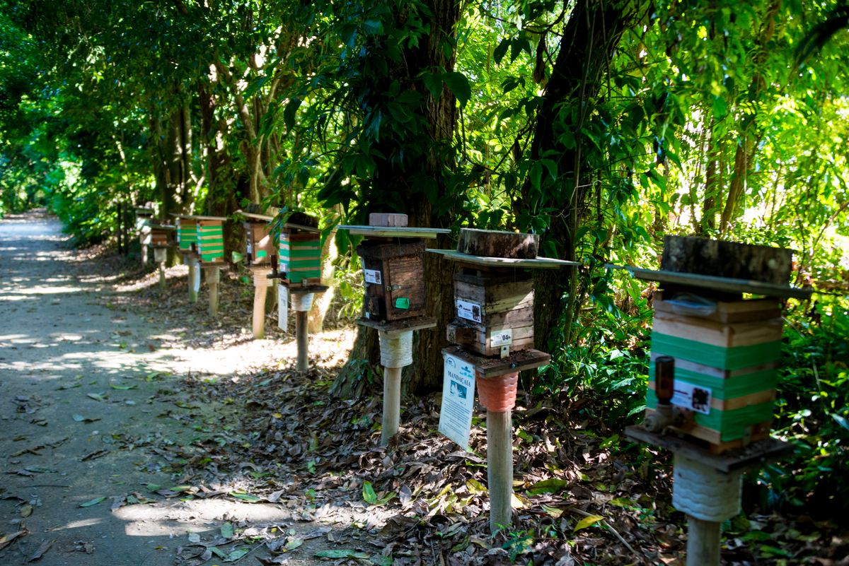 UM TOQUE NO SEU OLHAR ARIANE SCHMITZ TATIANA VIEIRA