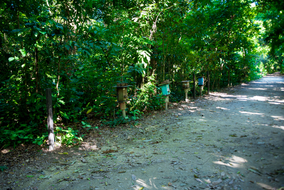 UM TOQUE NO SEU OLHAR ARIANE SCHMITZ TATIANA VIEIRA