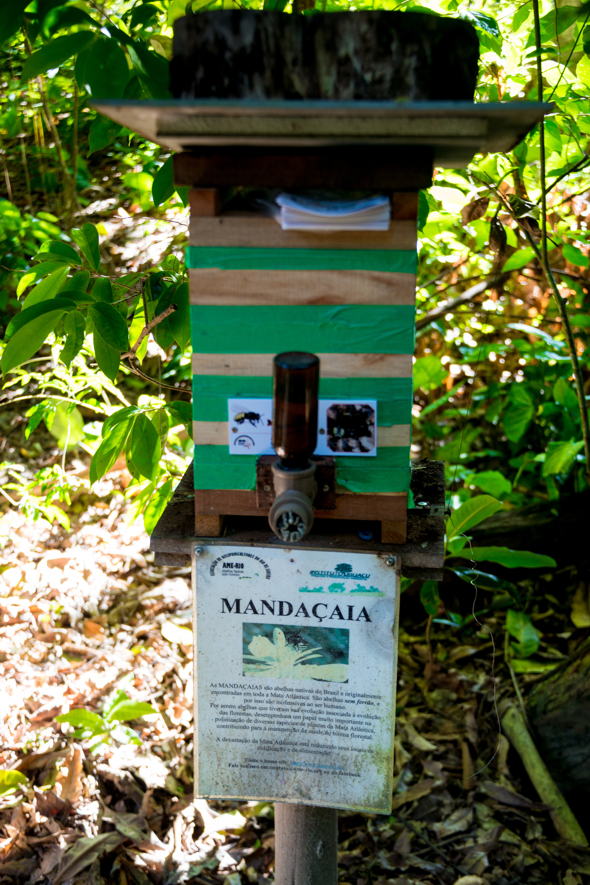 UM TOQUE NO SEU OLHAR ARIANE SCHMITZ TATIANA VIEIRA