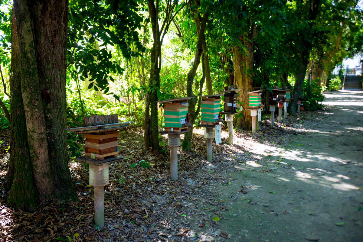 UM TOQUE NO SEU OLHAR ARIANE SCHMITZ TATIANA VIEIRA