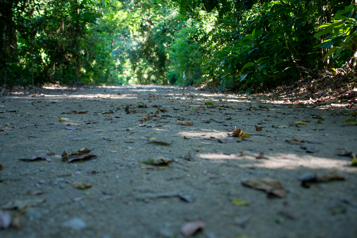 UM TOQUE NO SEU OLHAR ARIANE SCHMITZ TATIANA VIEIRA