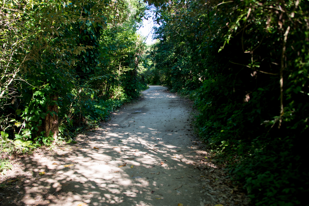 UM TOQUE NO SEU OLHAR ARIANE SCHMITZ TATIANA VIEIRA