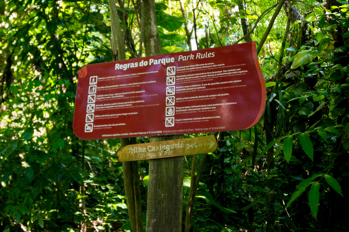 UM TOQUE NO SEU OLHAR ARIANE SCHMITZ TATIANA VIEIRA