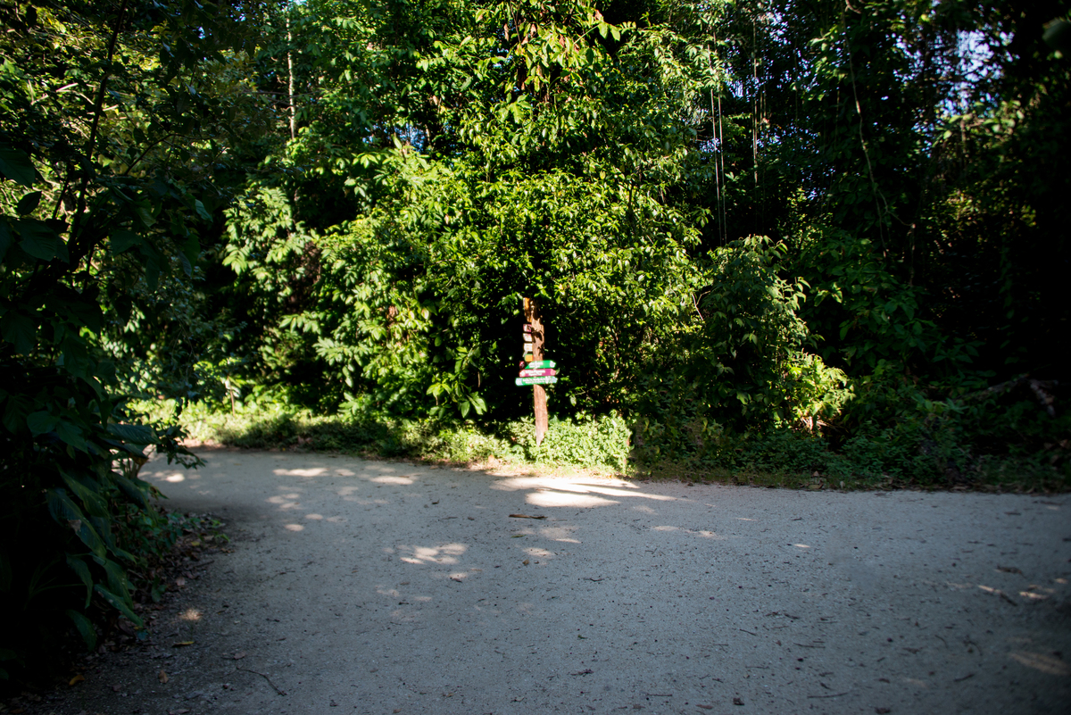 UM TOQUE NO SEU OLHAR ARIANE SCHMITZ TATIANA VIEIRA