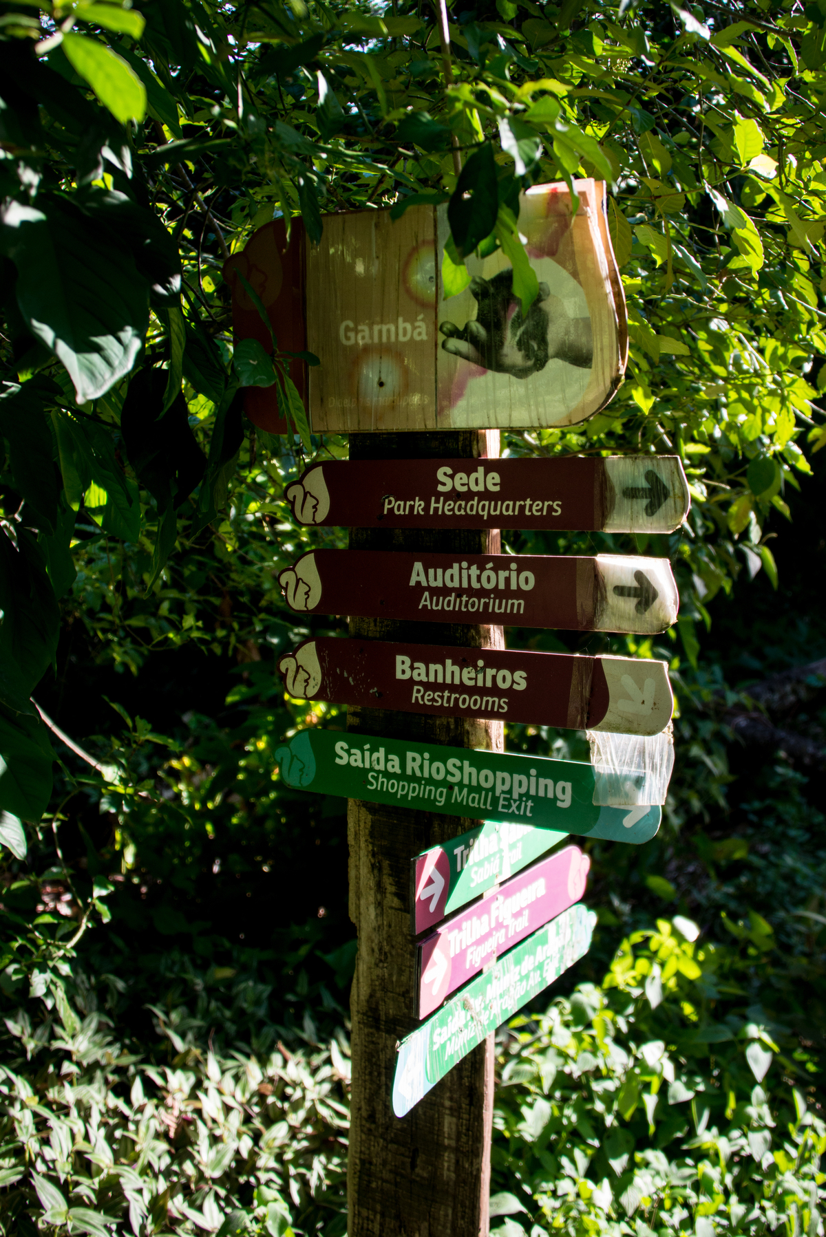 UM TOQUE NO SEU OLHAR ARIANE SCHMITZ TATIANA VIEIRA