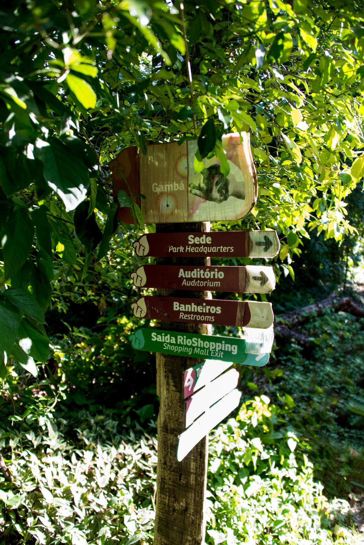 UM TOQUE NO SEU OLHAR ARIANE SCHMITZ TATIANA VIEIRA