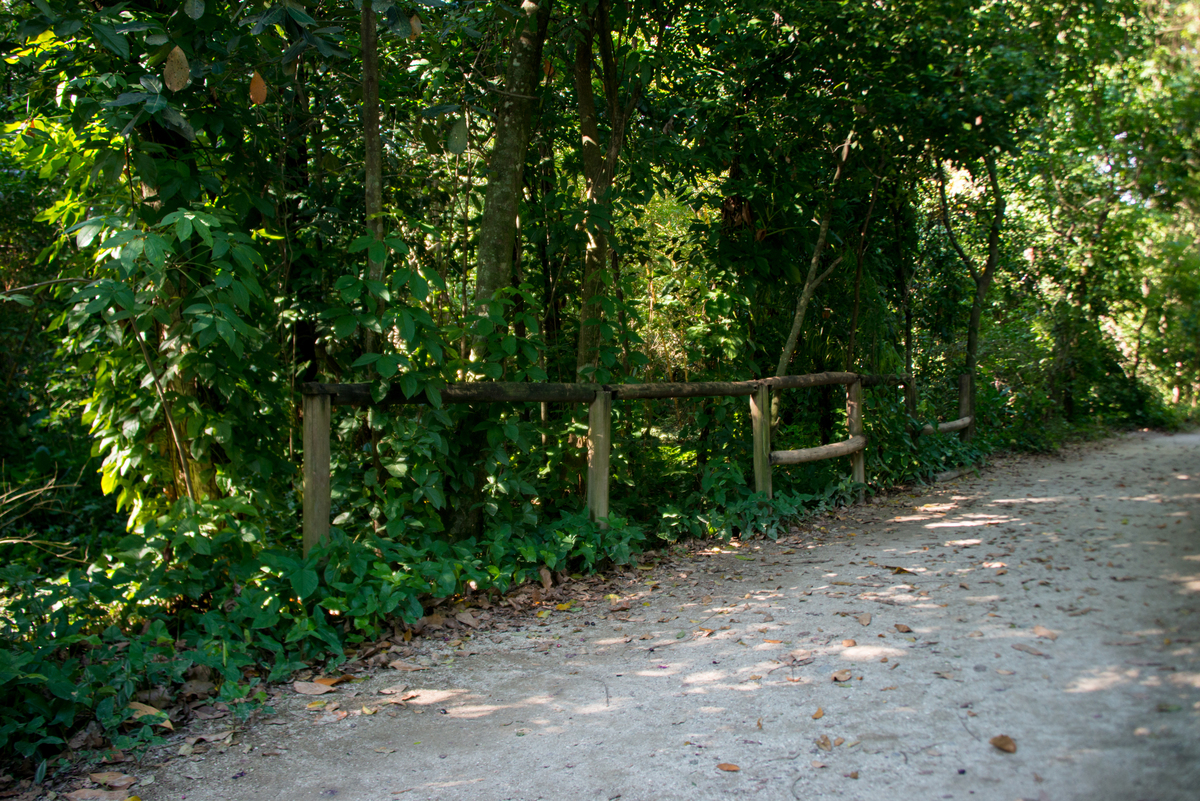 UM TOQUE NO SEU OLHAR ARIANE SCHMITZ TATIANA VIEIRA