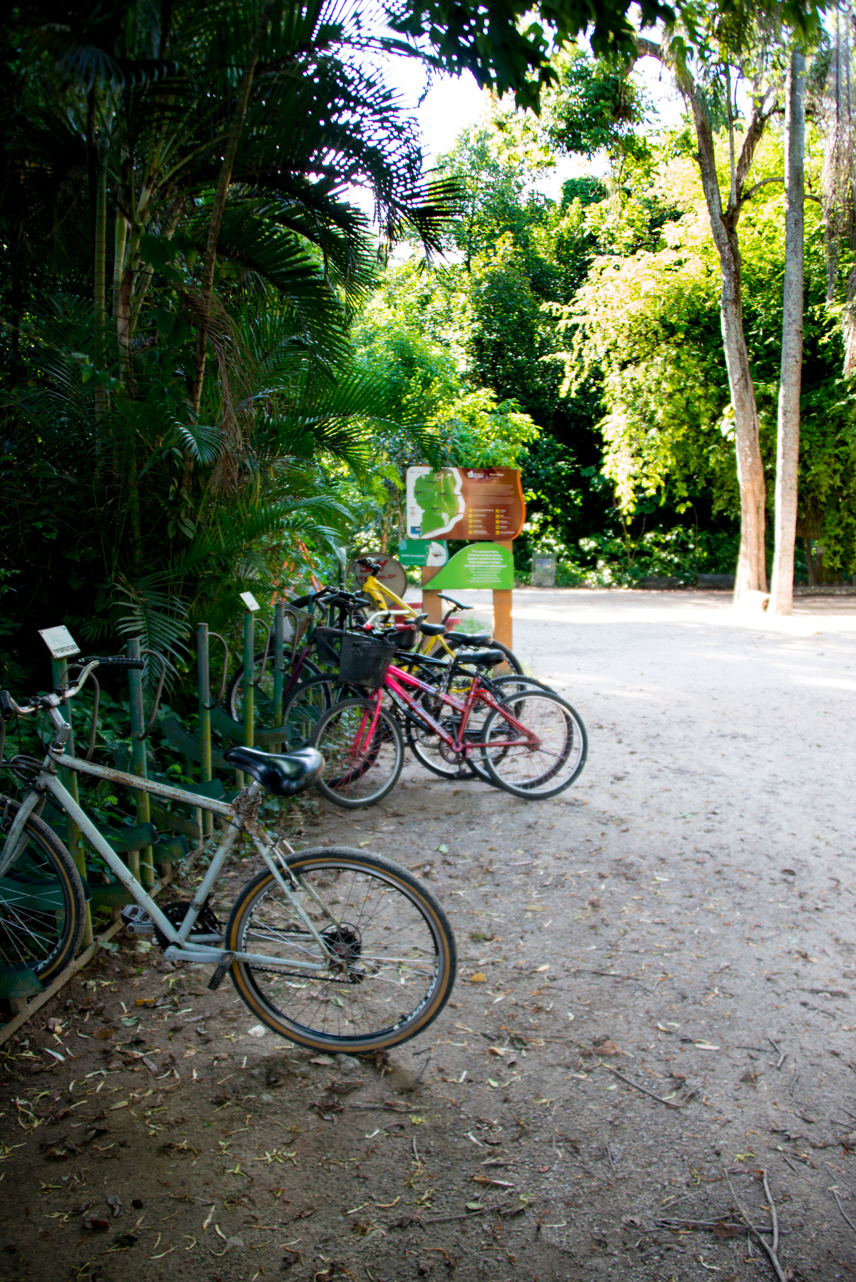 UM TOQUE NO SEU OLHAR ARIANE SCHMITZ TATIANA VIEIRA