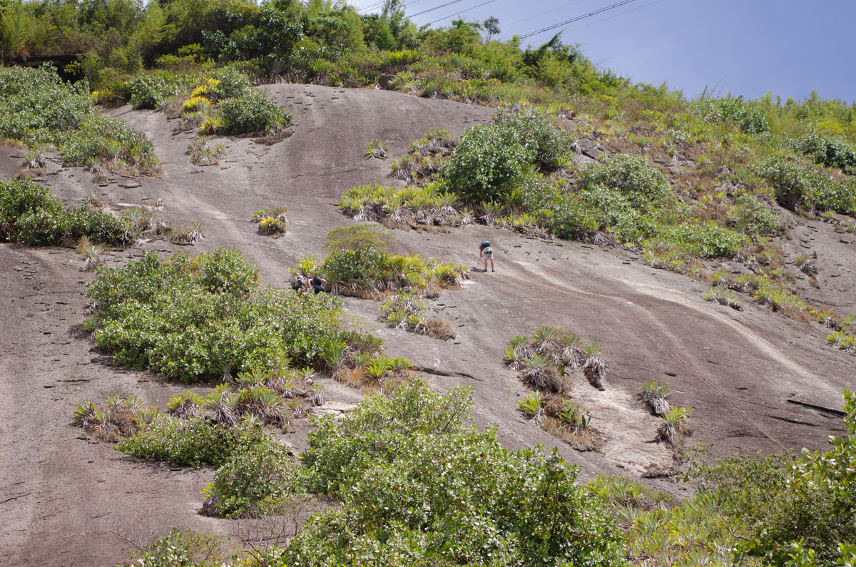 UM TOQUE NO SEU OLHAR ARIANE SCHMITZ TATIANA VIEIRA