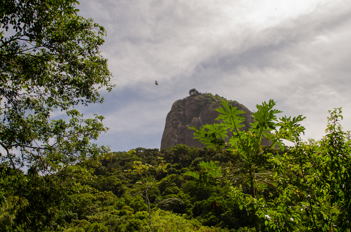 UM TOQUE NO SEU OLHAR ARIANE SCHMITZ TATIANA VIEIRA