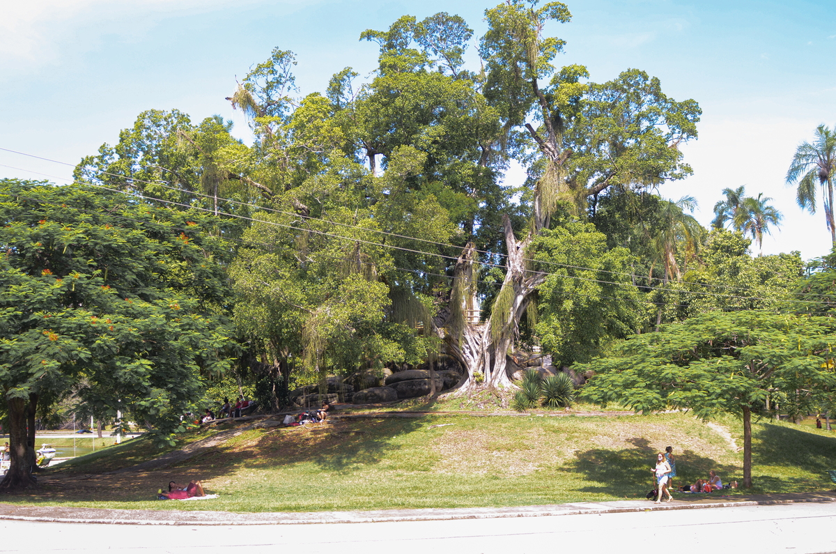 UM TOQUE NO SEU OLHAR ARIANE SCHMITZ TATIANA VIEIRA