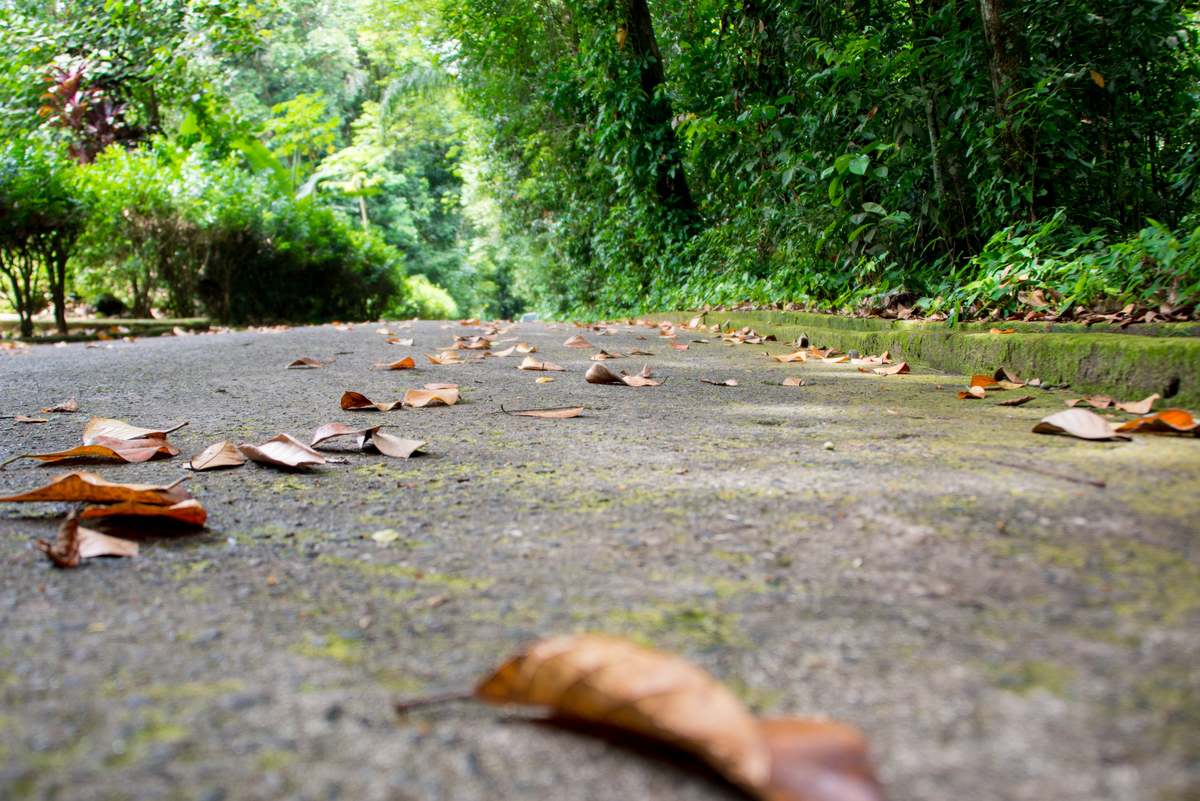 UM TOQUE NO SEU OLHAR ARIANE SCHMITZ TATIANA VIEIRA
