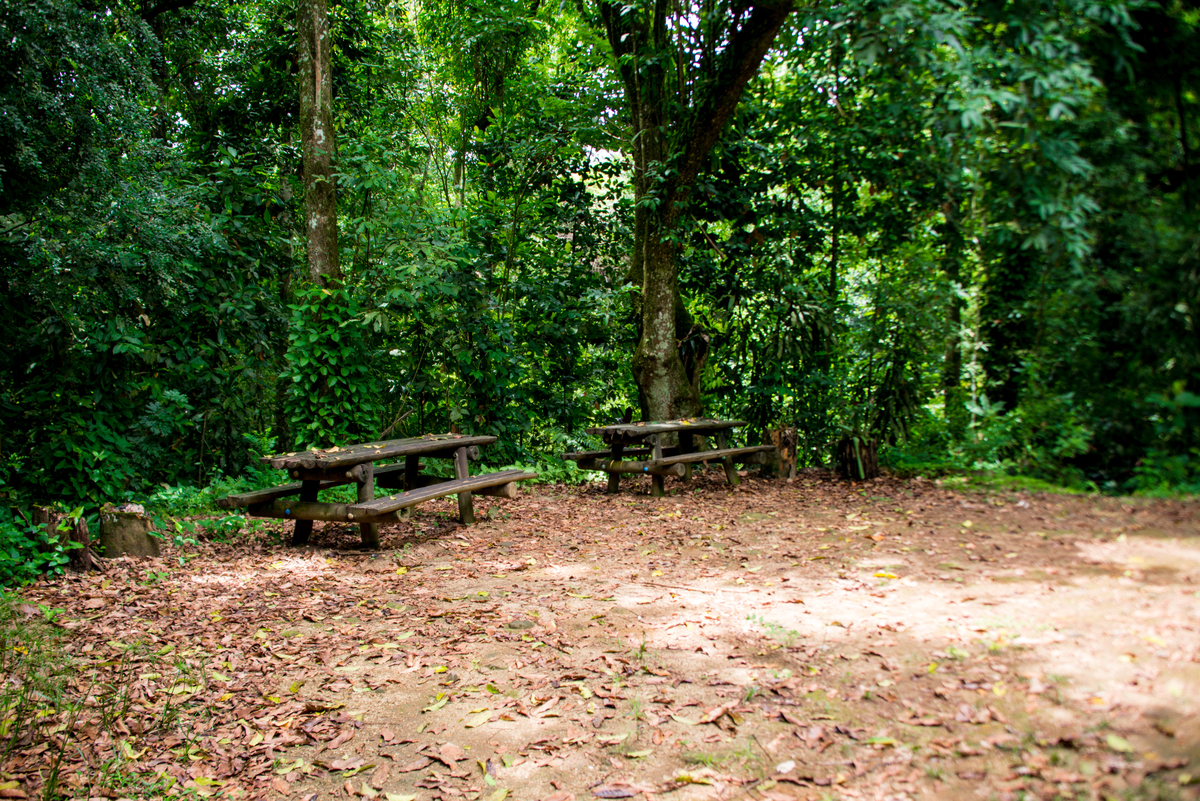 UM TOQUE NO SEU OLHAR ARIANE SCHMITZ TATIANA VIEIRA