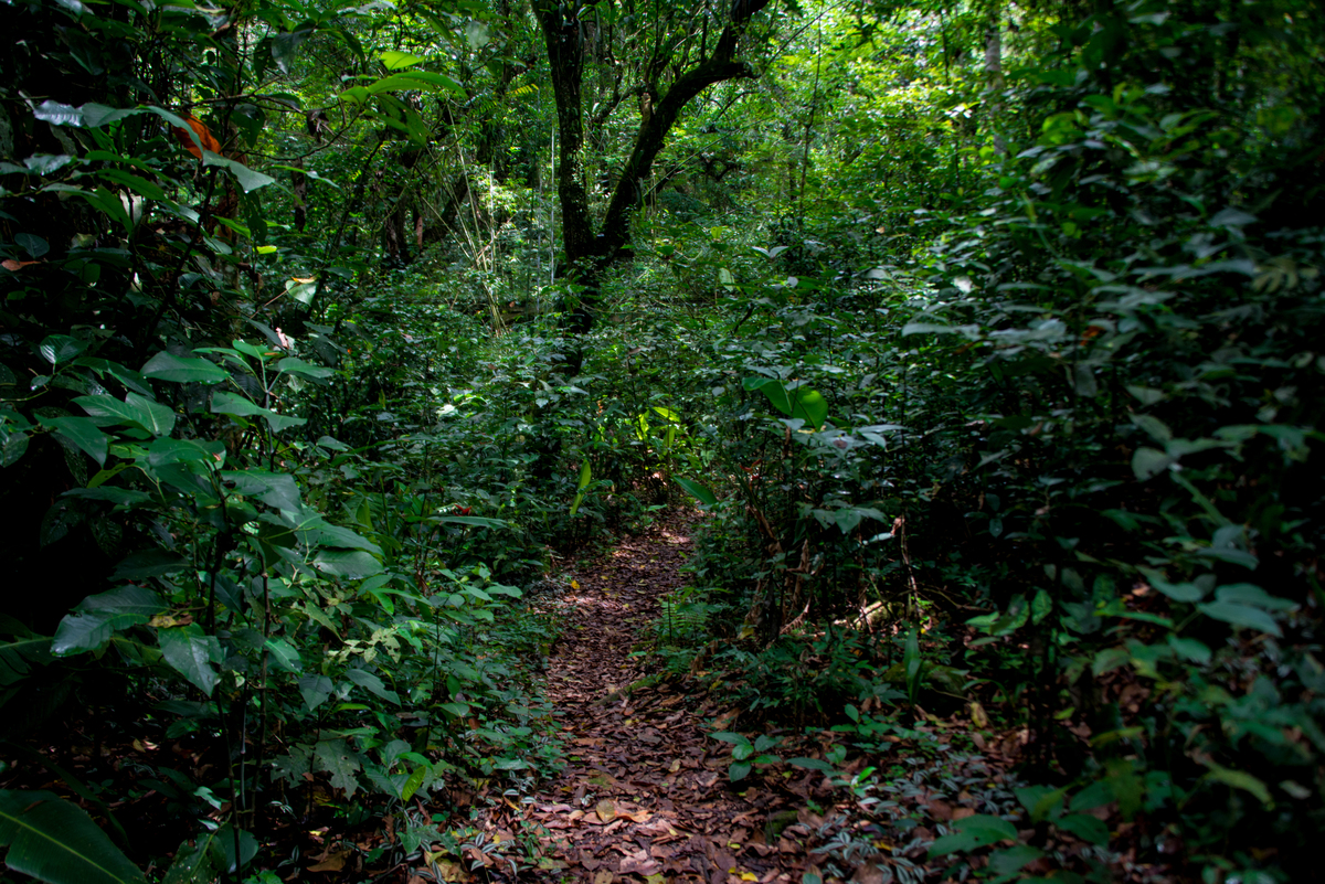 UM TOQUE NO SEU OLHAR ARIANE SCHMITZ TATIANA VIEIRA