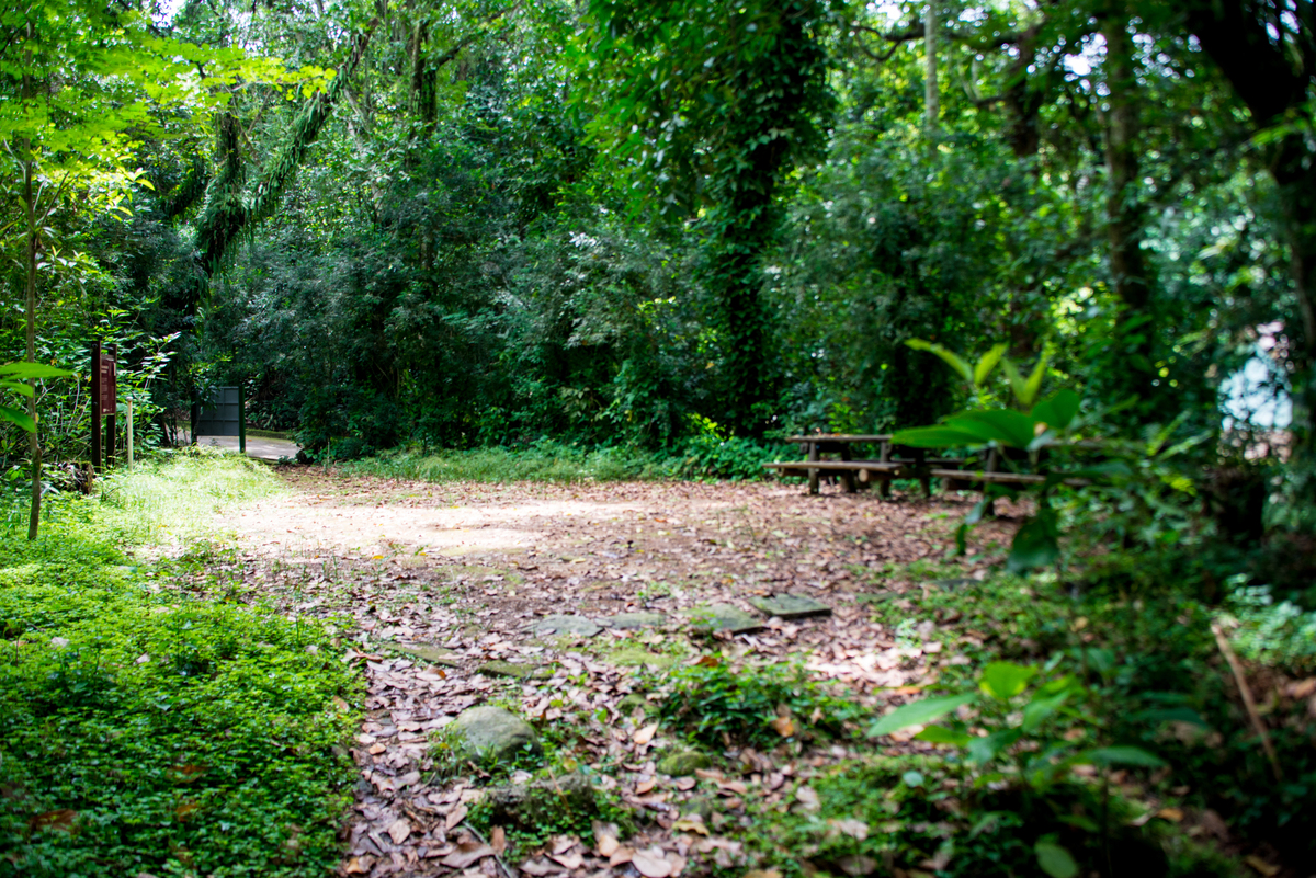 UM TOQUE NO SEU OLHAR ARIANE SCHMITZ TATIANA VIEIRA