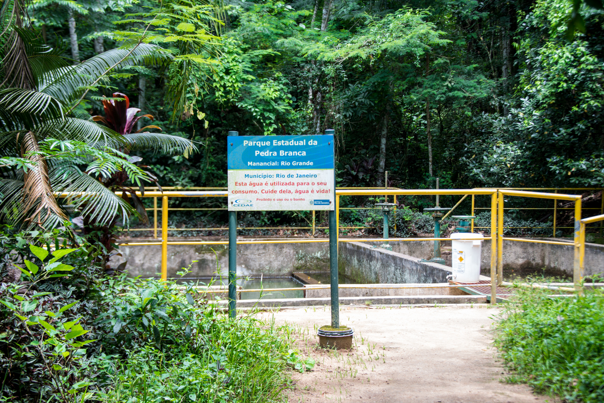 UM TOQUE NO SEU OLHAR ARIANE SCHMITZ TATIANA VIEIRA