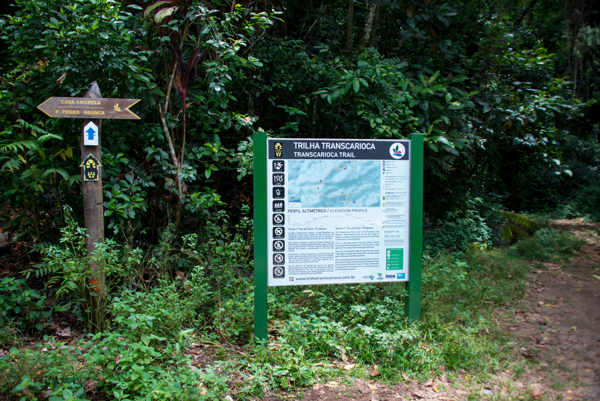 UM TOQUE NO SEU OLHAR ARIANE SCHMITZ TATIANA VIEIRA