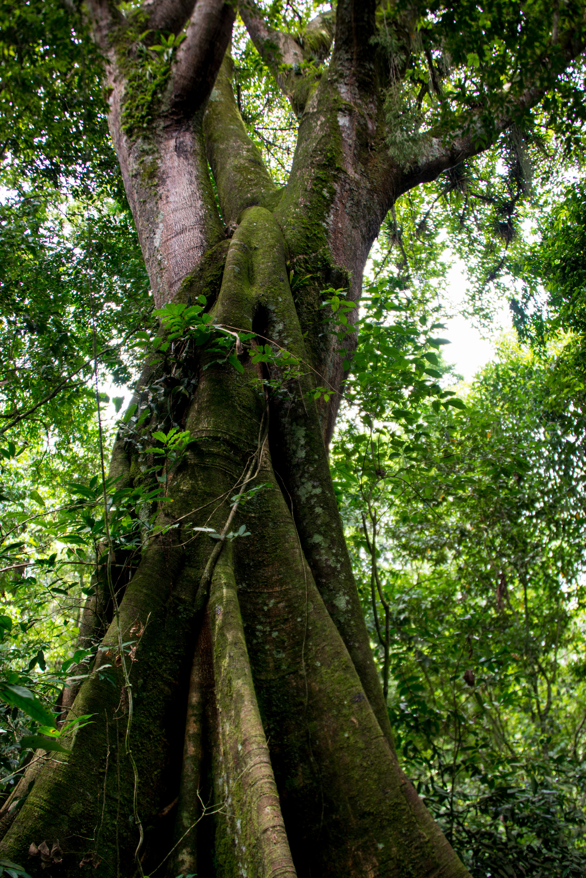 UM TOQUE NO SEU OLHAR ARIANE SCHMITZ TATIANA VIEIRA