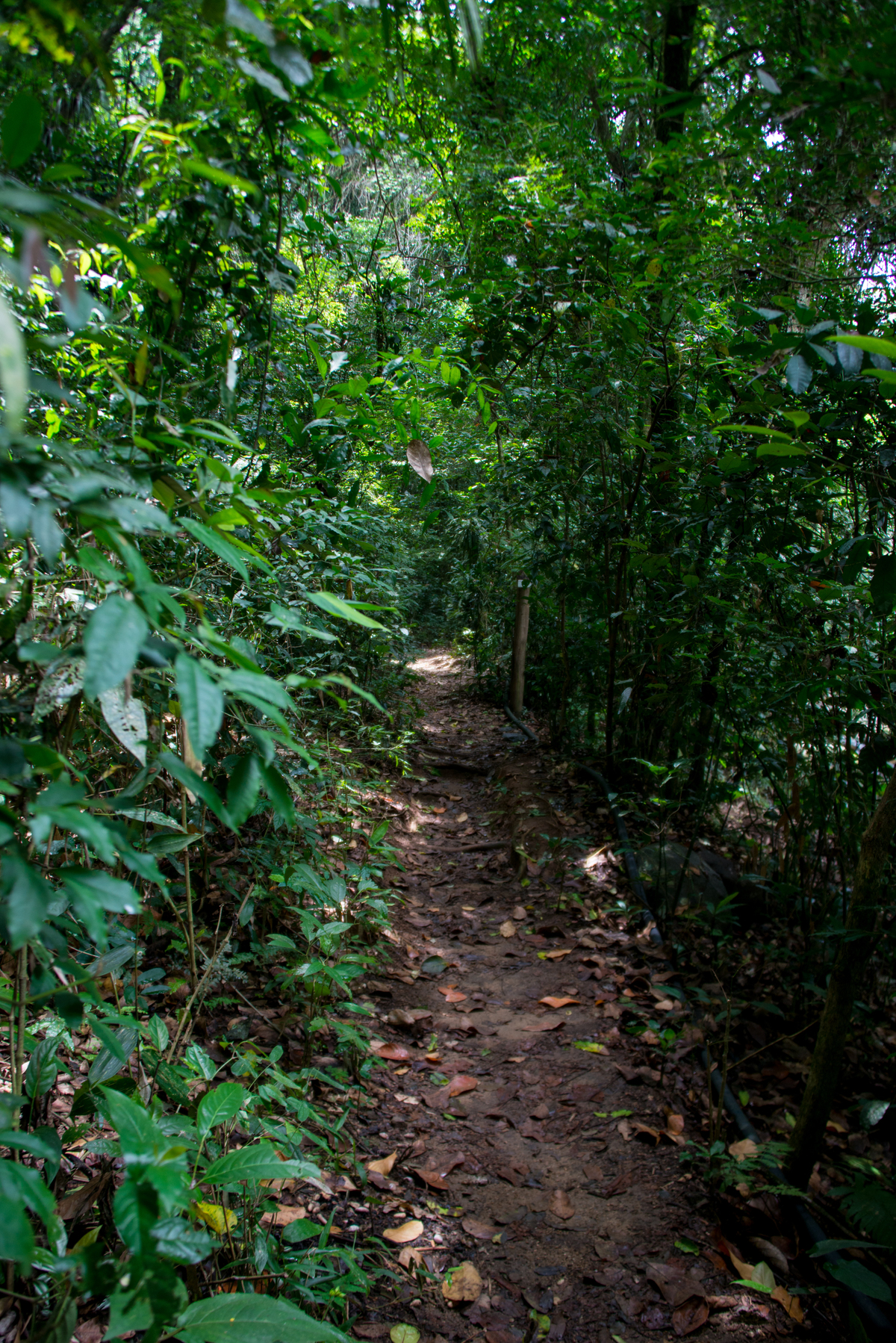 UM TOQUE NO SEU OLHAR ARIANE SCHMITZ TATIANA VIEIRA