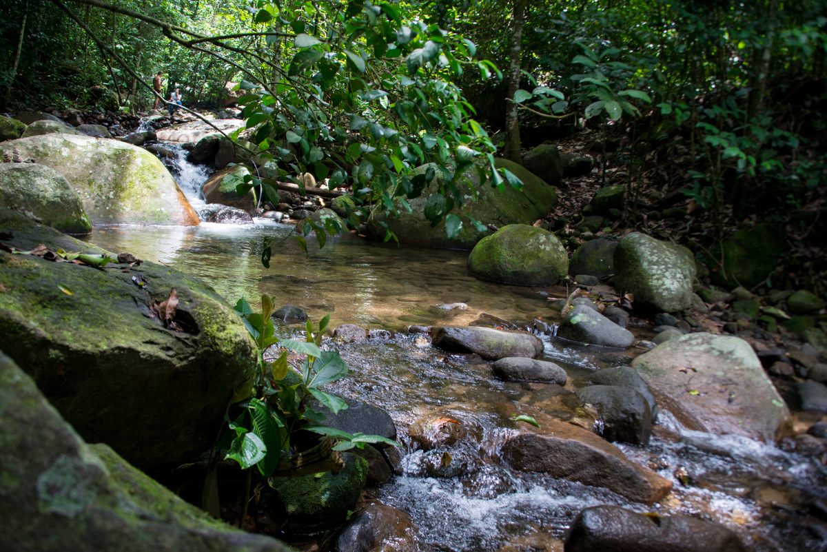 UM TOQUE NO SEU OLHAR ARIANE SCHMITZ TATIANA VIEIRA