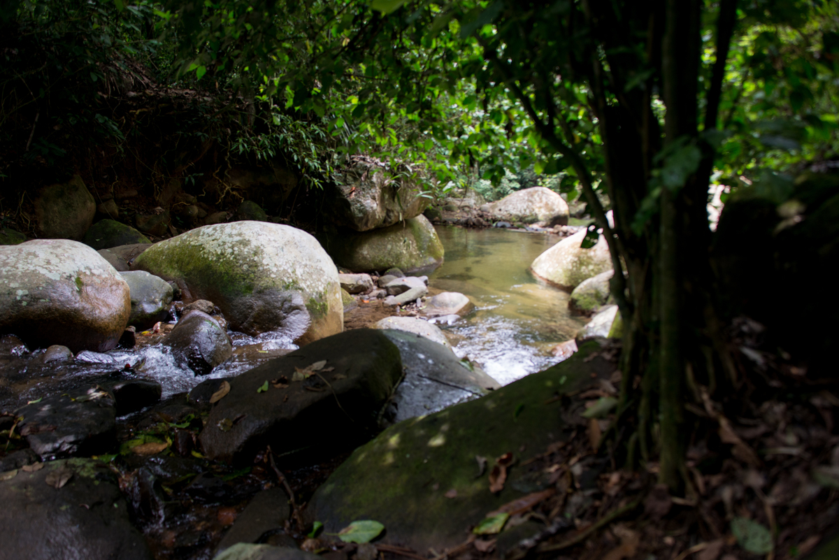 UM TOQUE NO SEU OLHAR ARIANE SCHMITZ TATIANA VIEIRA