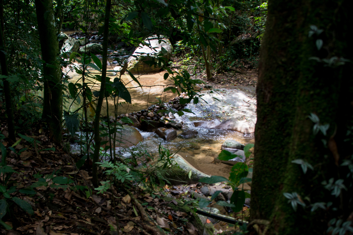 UM TOQUE NO SEU OLHAR ARIANE SCHMITZ TATIANA VIEIRA