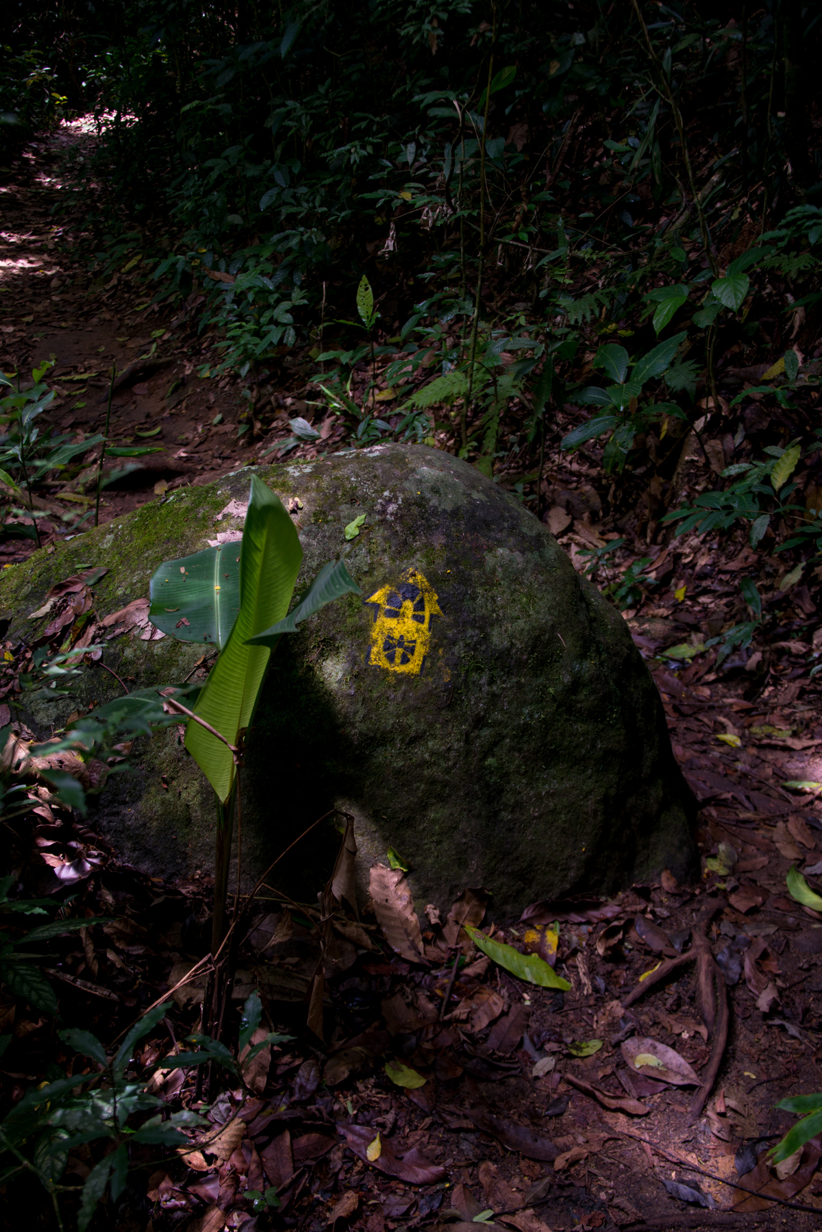 UM TOQUE NO SEU OLHAR ARIANE SCHMITZ TATIANA VIEIRA