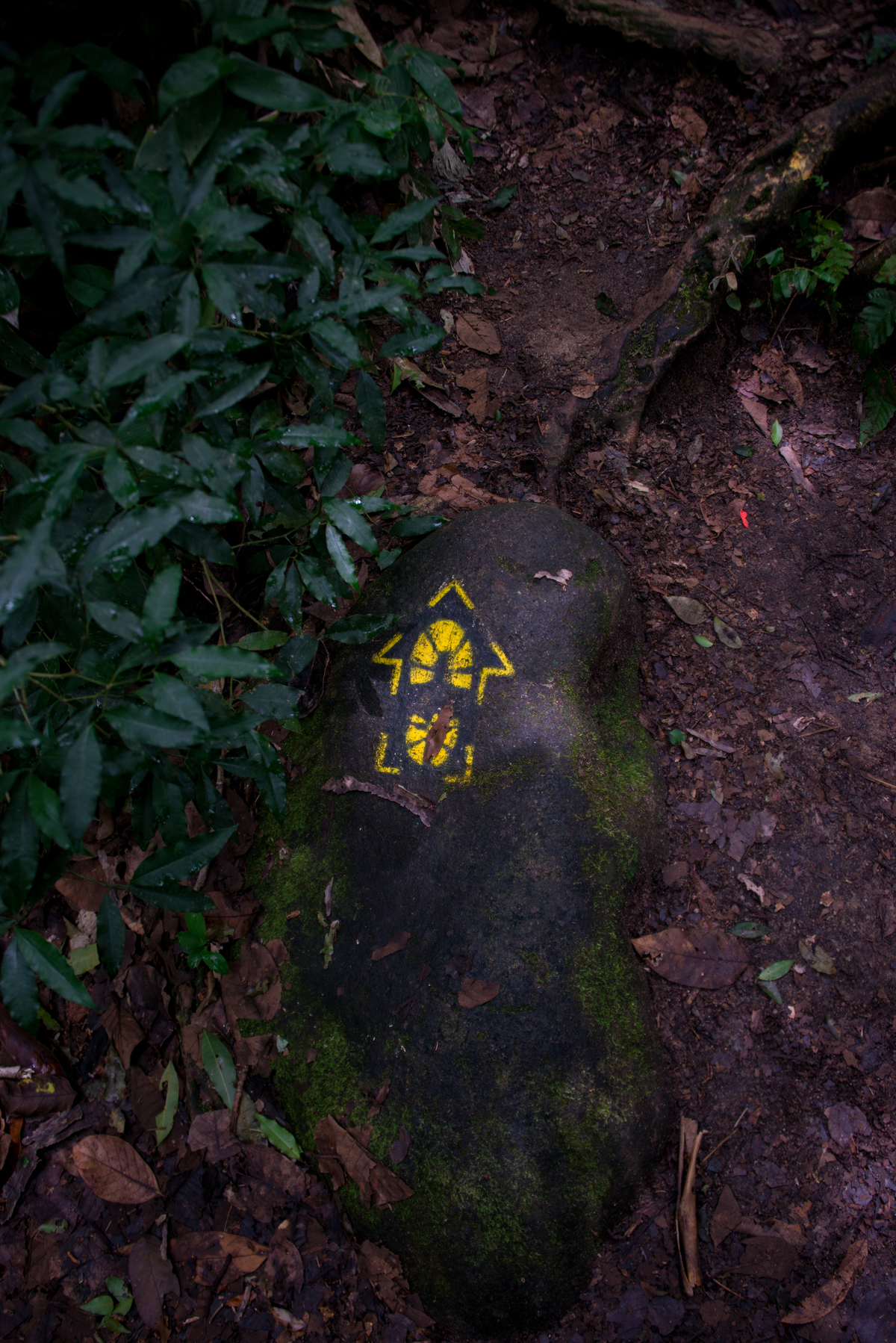 UM TOQUE NO SEU OLHAR ARIANE SCHMITZ TATIANA VIEIRA