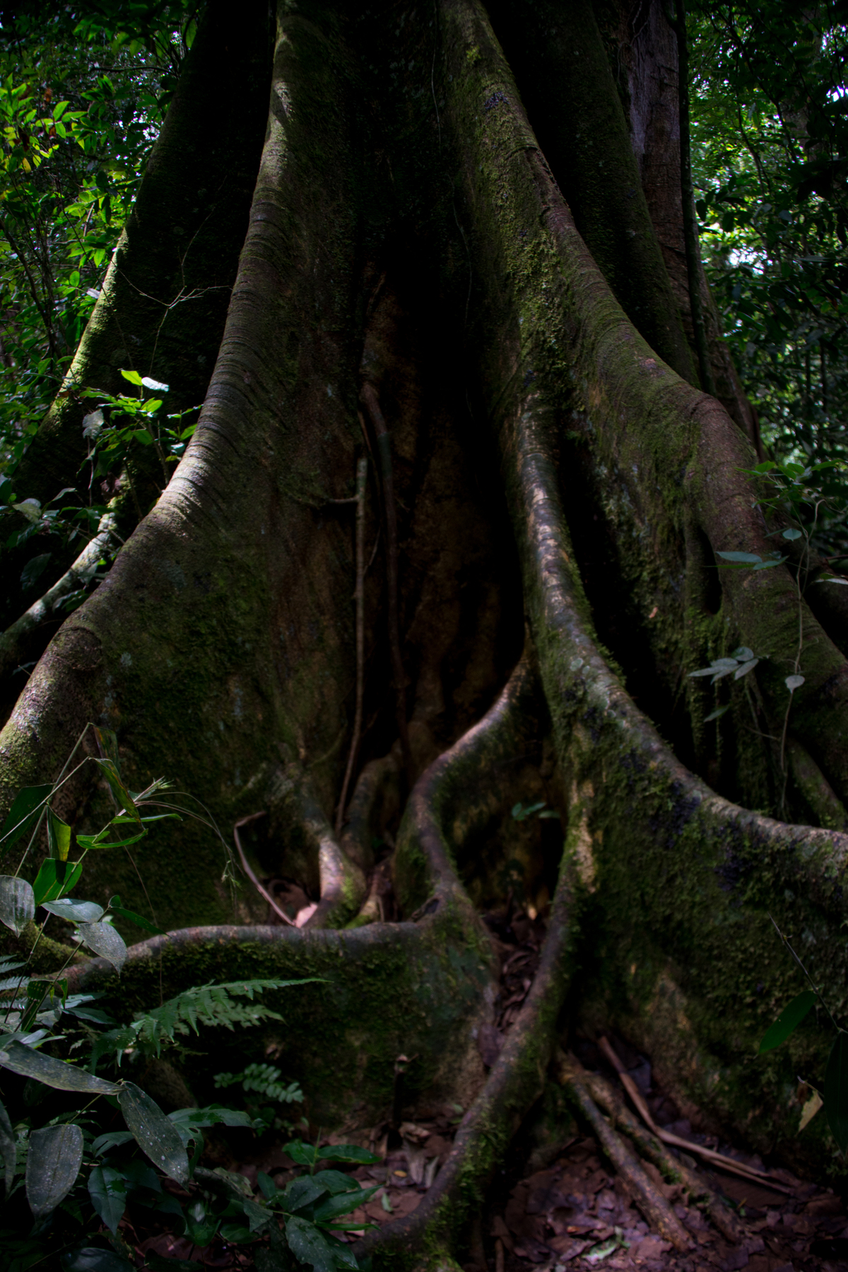 UM TOQUE NO SEU OLHAR ARIANE SCHMITZ TATIANA VIEIRA