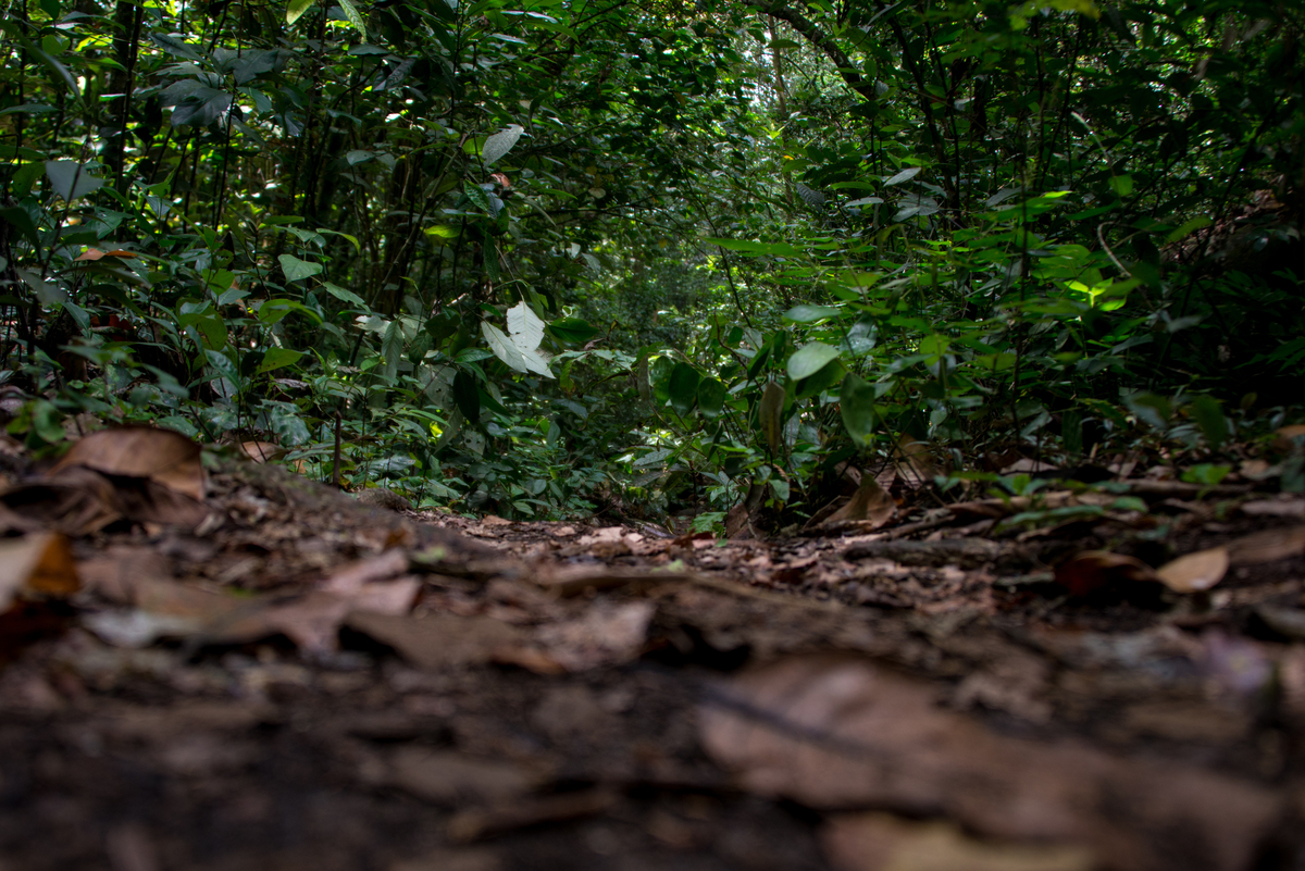 UM TOQUE NO SEU OLHAR ARIANE SCHMITZ TATIANA VIEIRA