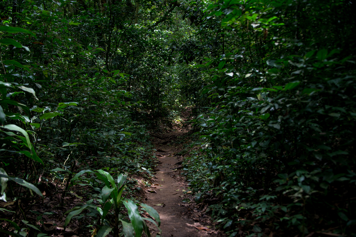 UM TOQUE NO SEU OLHAR ARIANE SCHMITZ TATIANA VIEIRA