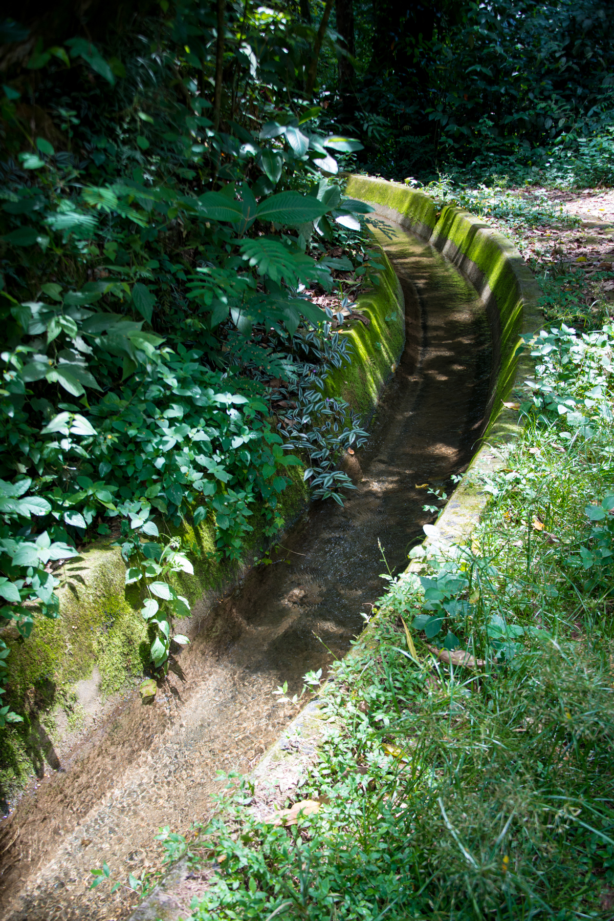 UM TOQUE NO SEU OLHAR ARIANE SCHMITZ TATIANA VIEIRA