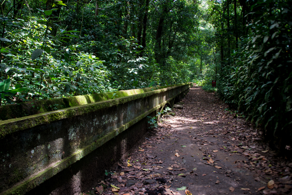 UM TOQUE NO SEU OLHAR ARIANE SCHMITZ TATIANA VIEIRA