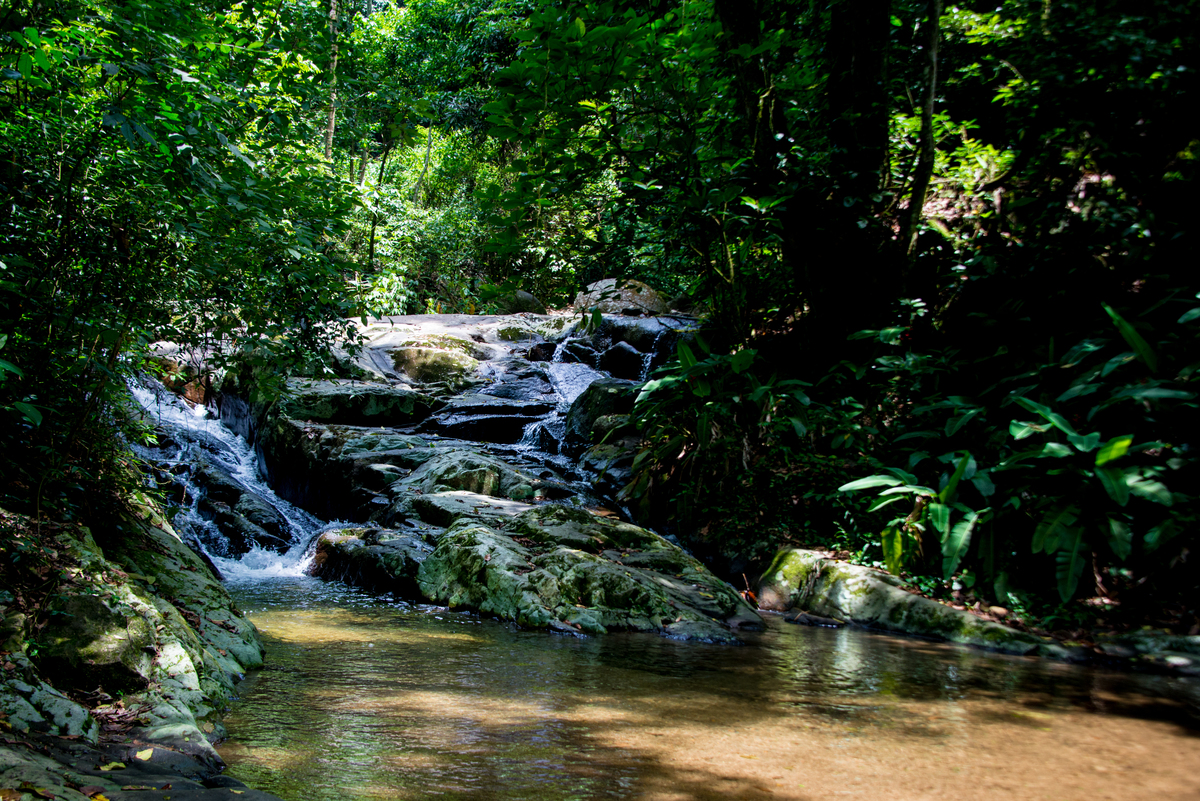 UM TOQUE NO SEU OLHAR ARIANE SCHMITZ TATIANA VIEIRA
