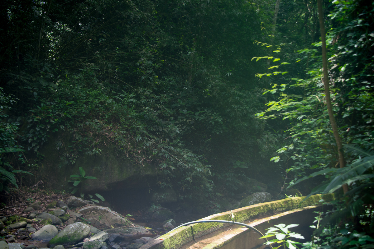 UM TOQUE NO SEU OLHAR ARIANE SCHMITZ TATIANA VIEIRA