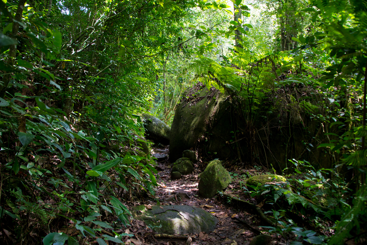 UM TOQUE NO SEU OLHAR ARIANE SCHMITZ TATIANA VIEIRA
