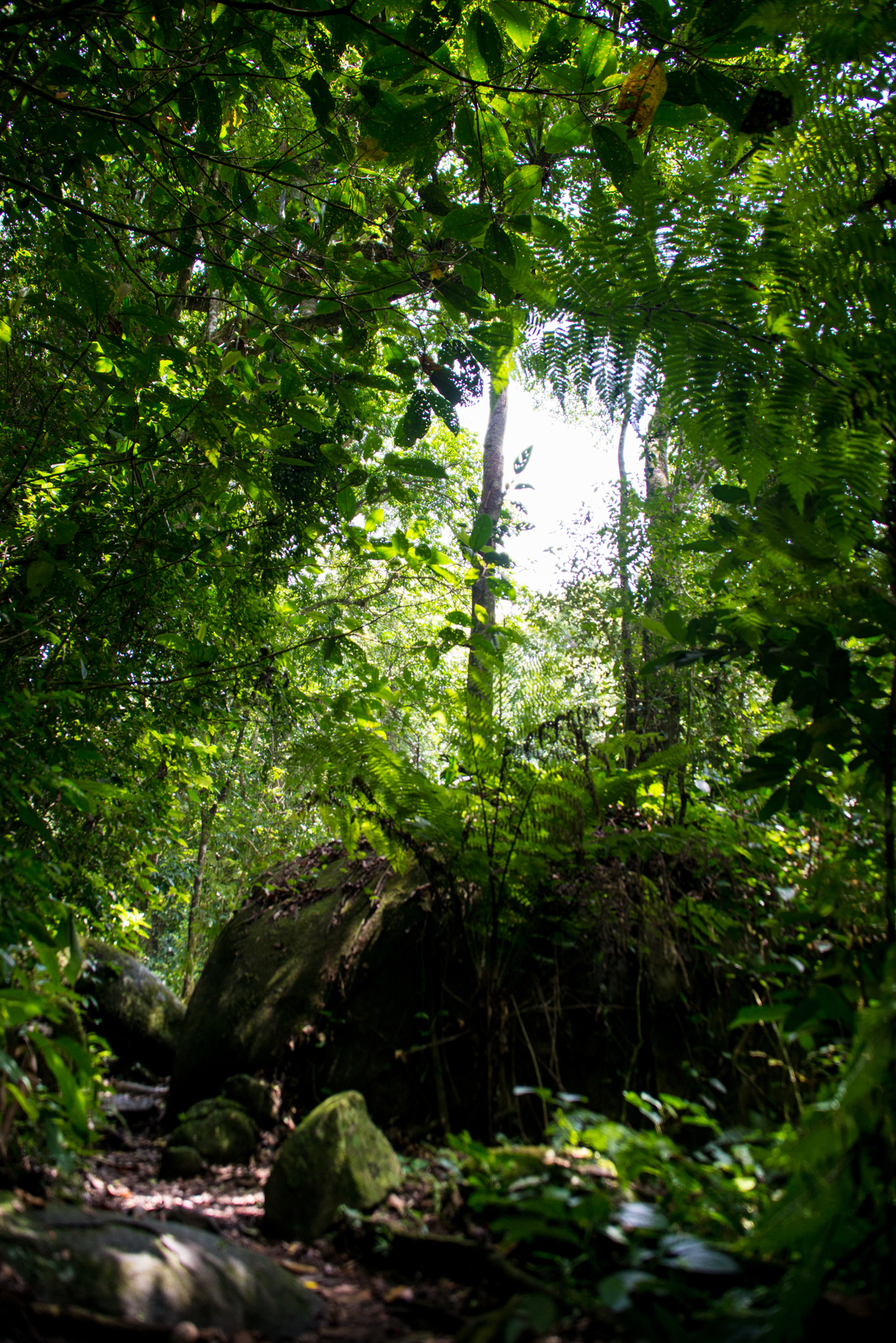 UM TOQUE NO SEU OLHAR ARIANE SCHMITZ TATIANA VIEIRA