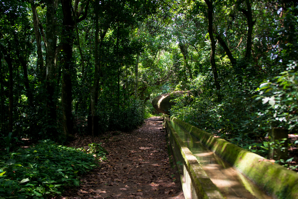 UM TOQUE NO SEU OLHAR ARIANE SCHMITZ TATIANA VIEIRA