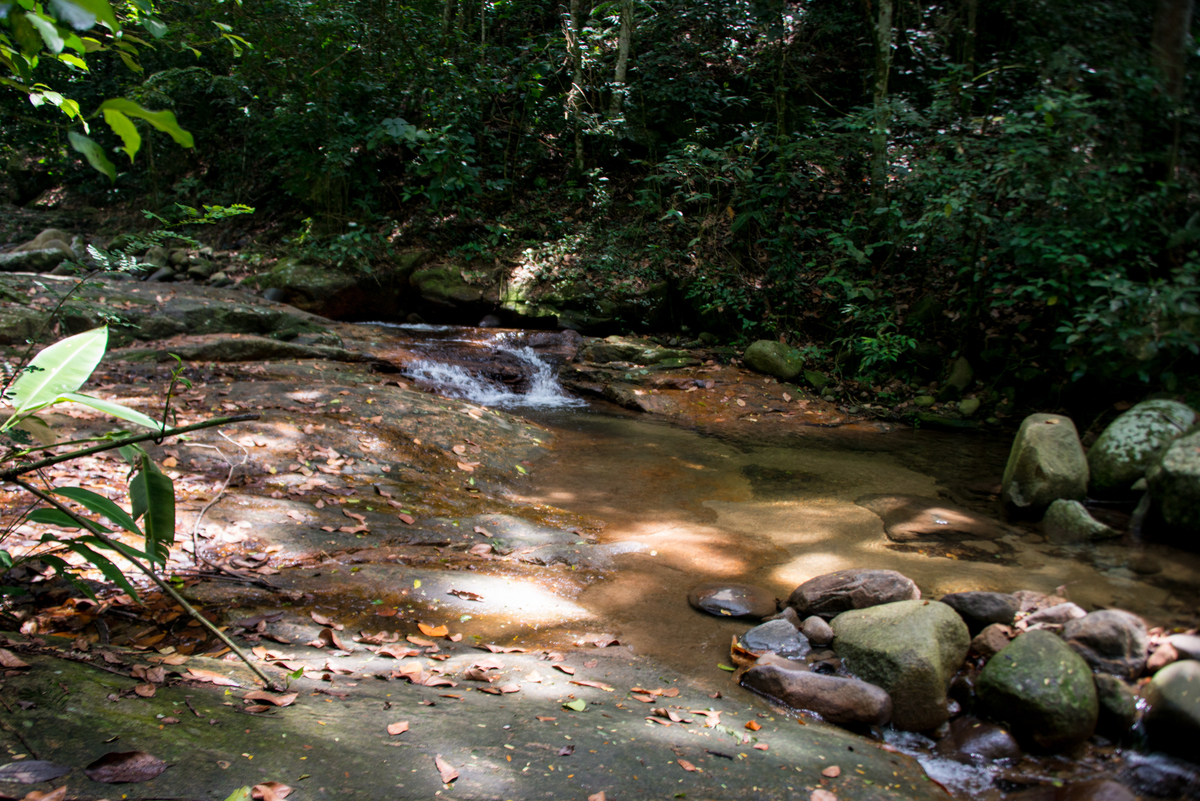 UM TOQUE NO SEU OLHAR ARIANE SCHMITZ TATIANA VIEIRA