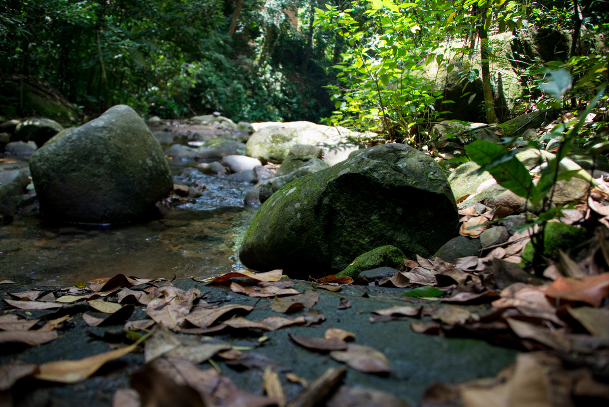 UM TOQUE NO SEU OLHAR ARIANE SCHMITZ TATIANA VIEIRA