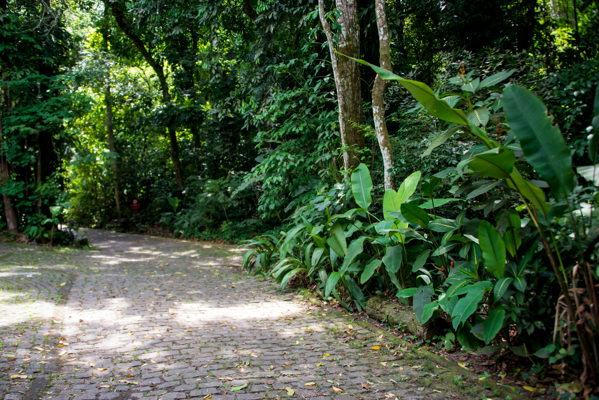 UM TOQUE NO SEU OLHAR ARIANE SCHMITZ TATIANA VIEIRA