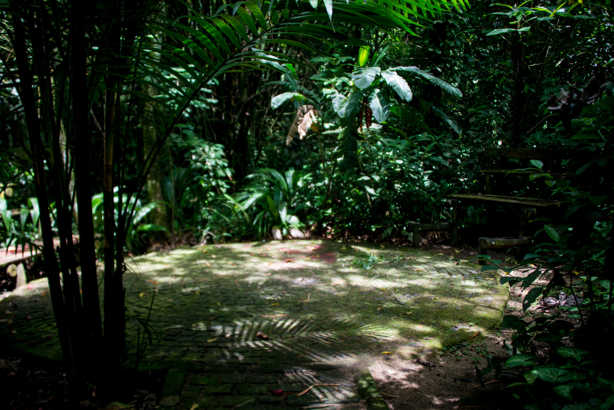 UM TOQUE NO SEU OLHAR ARIANE SCHMITZ TATIANA VIEIRA