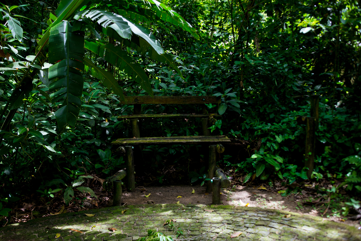 UM TOQUE NO SEU OLHAR ARIANE SCHMITZ TATIANA VIEIRA