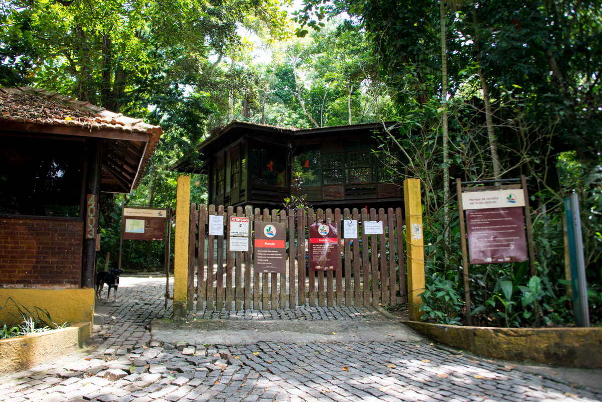 UM TOQUE NO SEU OLHAR ARIANE SCHMITZ TATIANA VIEIRA