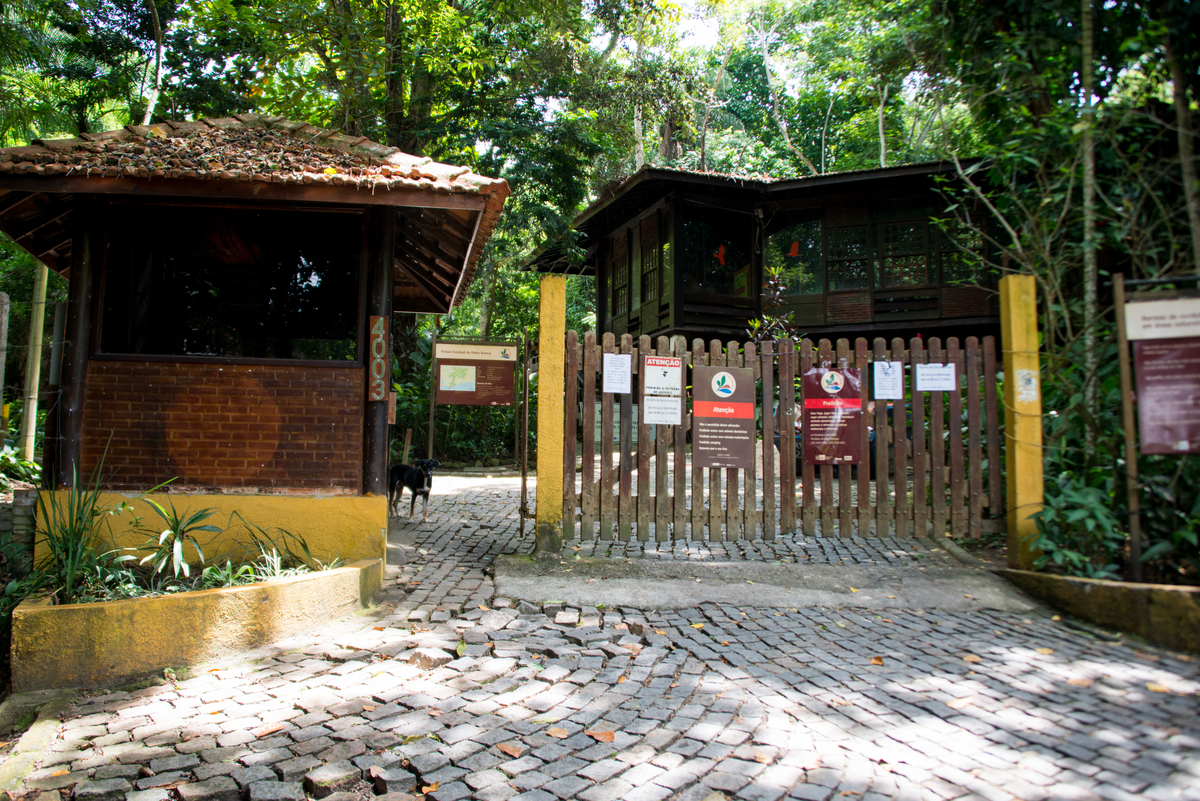 UM TOQUE NO SEU OLHAR ARIANE SCHMITZ TATIANA VIEIRA