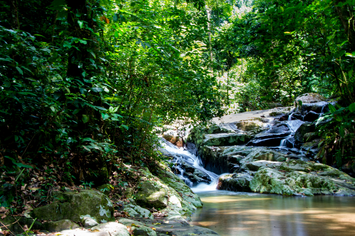 UM TOQUE NO SEU OLHAR ARIANE SCHMITZ TATIANA VIEIRA